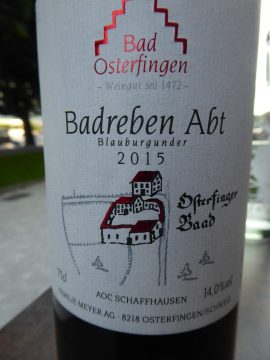Badreben Abt Blauburgunder 2015, Weingut Bad Osterfingen